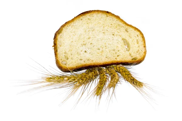 Pan y espiga de grano — Foto de Stock