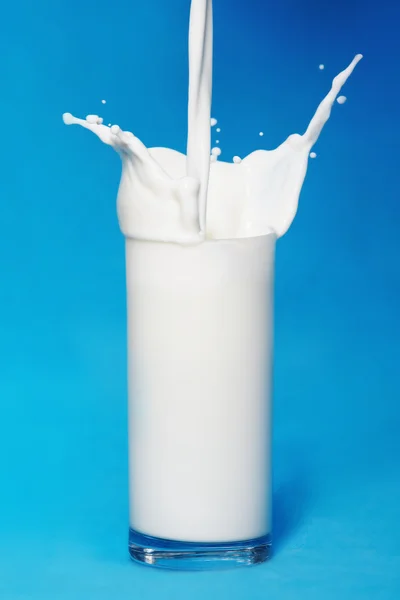 stock image Milk splash on blue background