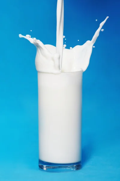 Milk splash on blue background Royalty Free Stock Images