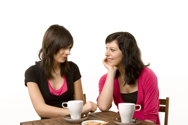 Two females drinking coffee and talk Royalty Free Stock Photos