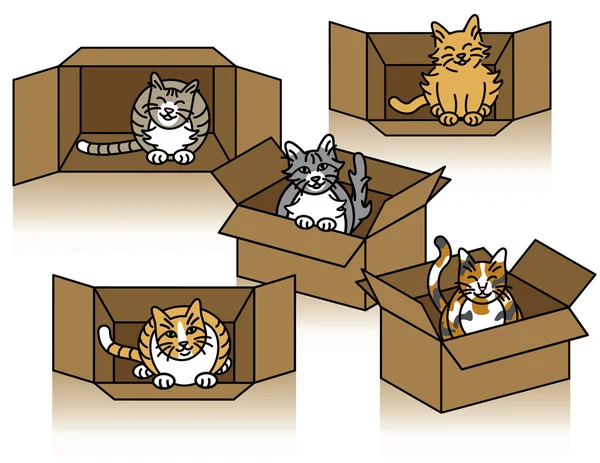 Niedliche Katzen in Kartons — Stockvektor
