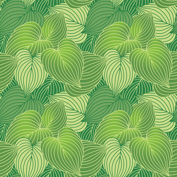 Hosta Leaf Pattern_Green