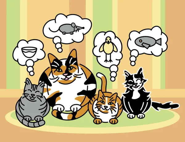 Wat katten denken over — Stockvector