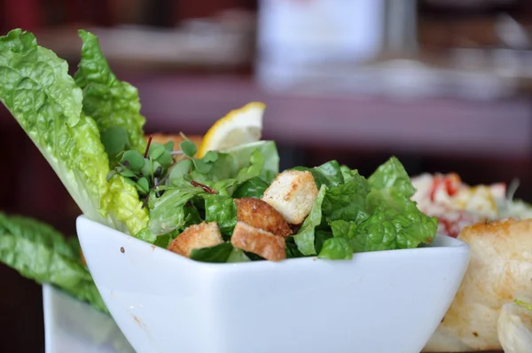 Свежий салат Цезарь — стоковое фото