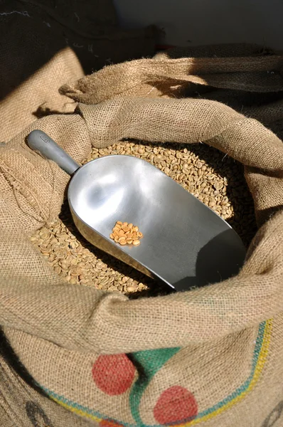 Мешок свежих кофейных зерен — стоковое фото