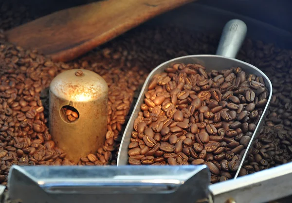 Granos de café recién tostados —  Fotos de Stock