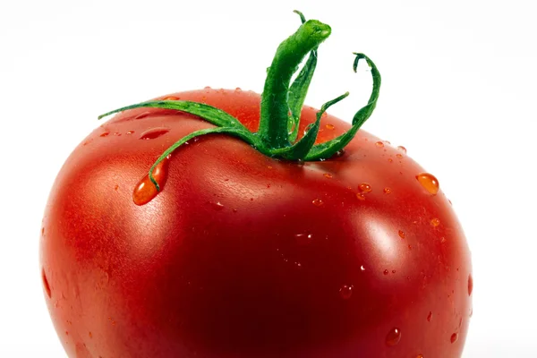 Pomidor z bliska — Zdjęcie stockowe