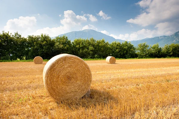 stock image Straw bale after harvest