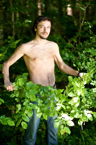 Человек в лесу — стоковое фото