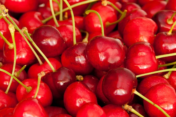 stock image Cherry background