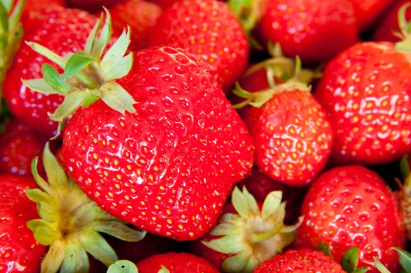 Stock image Strawberry background