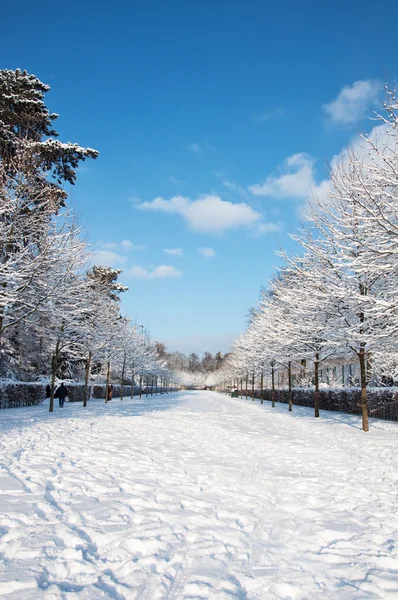 stock image The townpark of Hamburg