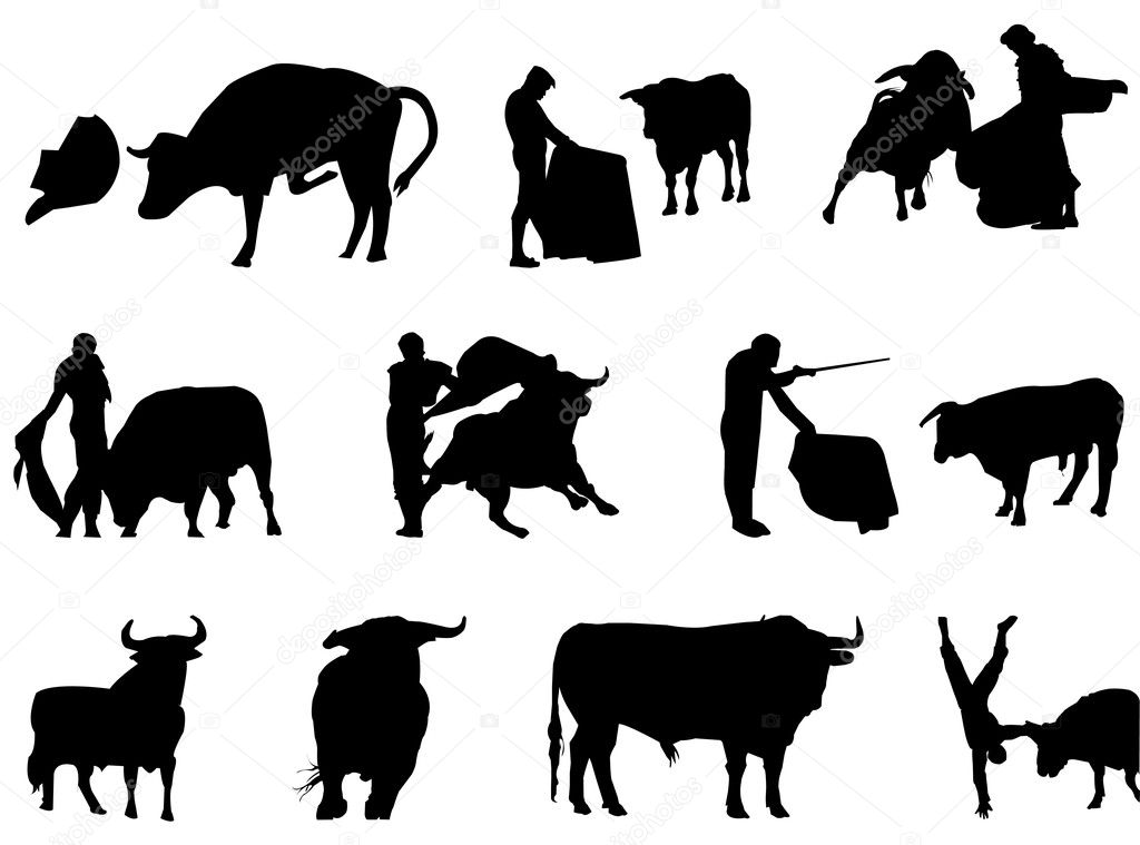 Matador and bulls silhouette