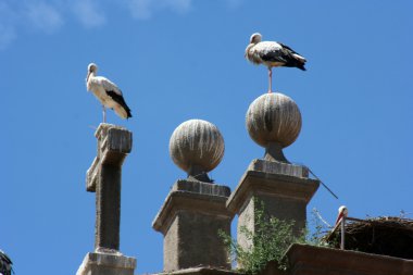 Alcala de Henares, Madrid