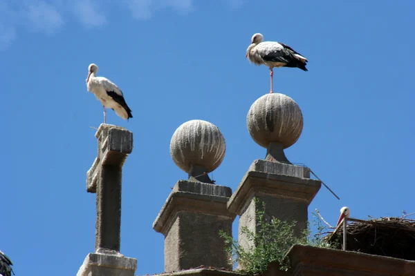 stock image Alcala de Henares, Madrid