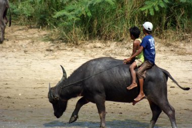 Myanmar