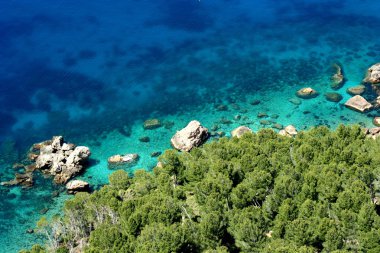 Mallorca. Balear Adaları. İspanya