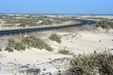 Fuerteventura ve Kanarya Adaları