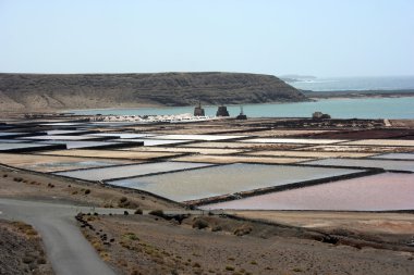 Lanzarote ve Kanarya Adaları