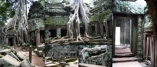 Tomb Raider Temple at Angkor,Camboya