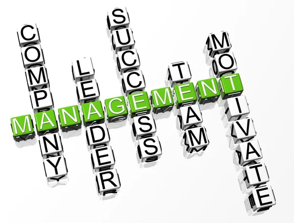 3D Management Crossword — Stock Photo, Image