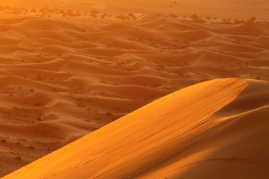 Sahara çöl Fas