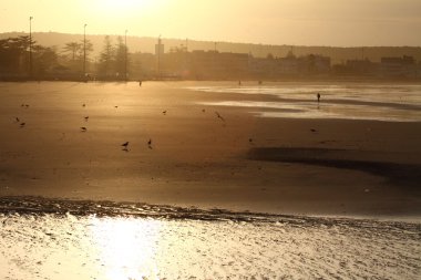 Fas, essaouira