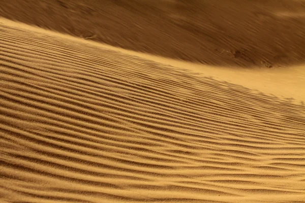 사하라 사막 모로코 — 스톡 사진