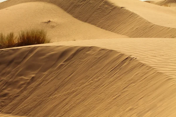 Сахара Пустыня Марокко — стоковое фото