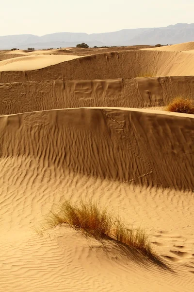 Sahara Woestijn Marokko — Stockfoto