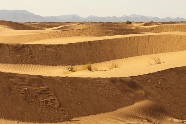 ทะเลทรายซาฮารา โมร็อกโก — ภาพถ่ายสต็อก