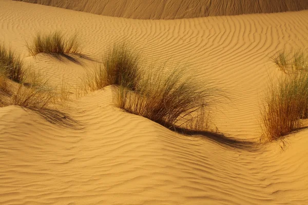 Σαχάρα Έρημο Μαρόκο — Φωτογραφία Αρχείου