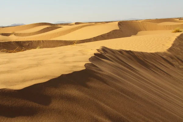 Sahara Desierto Marruecos — Foto de Stock