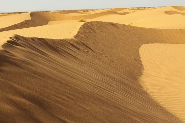 Σαχάρα έρημο Μαρόκο — Φωτογραφία Αρχείου