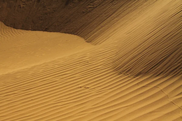 Sahara Öknen Marocko — Stockfoto