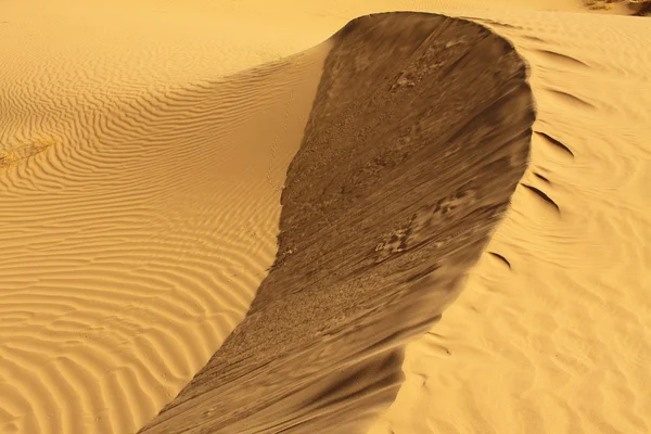 Gurun Sahara Maroko — Stok Foto