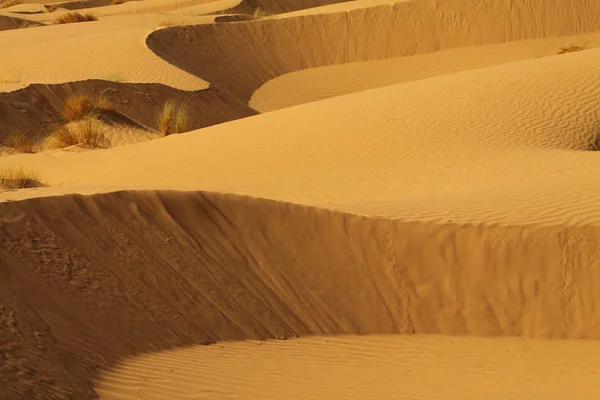 撒哈拉沙漠摩洛哥 — 图库照片