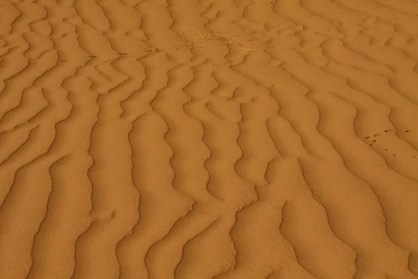 Szahara sivatag Marokkó — Stock Fotó