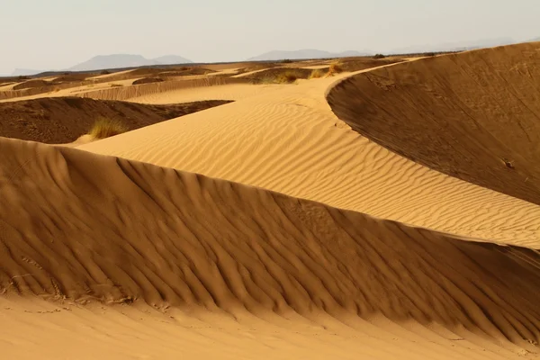Sahara woestijn Marokko — Stockfoto