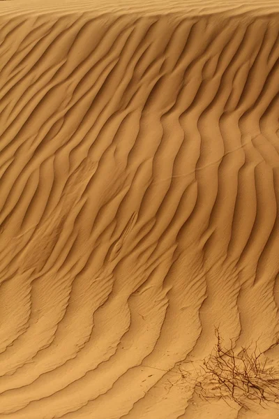 Sahara Pouštní Maroko — Stock fotografie