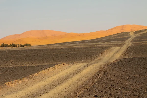 사하라 사막 모로코 — 스톡 사진