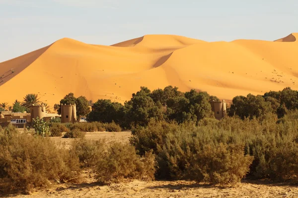 Sahara pouštní Maroko — Stock fotografie