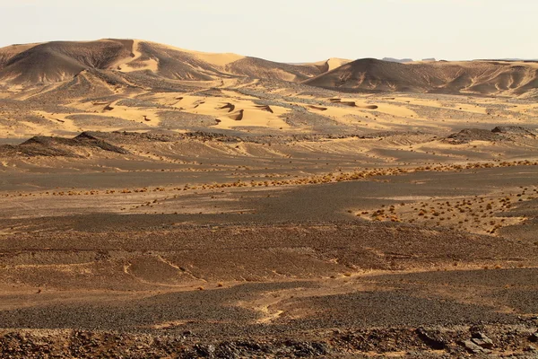 Пустеля Сахара Марокко — стокове фото