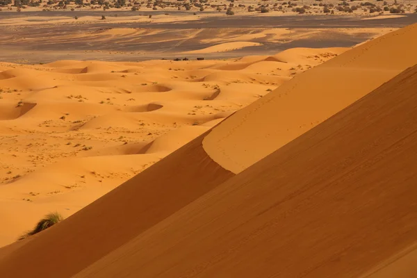 Sahara Wüste Marokko — Stockfoto