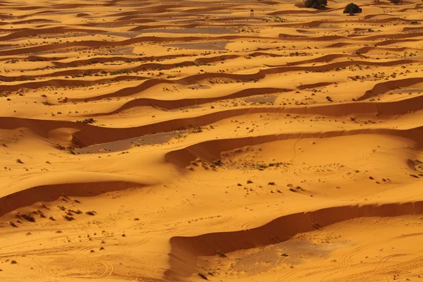 Пустеля Сахара Марокко — стокове фото