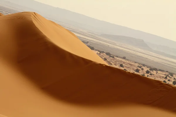 Σαχάρα Έρημο Μαρόκο — Φωτογραφία Αρχείου