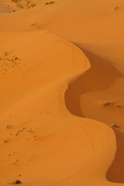 Sahara Woestijn Marokko — Stockfoto