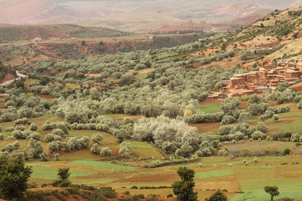 Marrocos Vila Tradicional — Fotografia de Stock