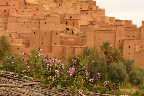 Айт-Бен-Хадду-Марокко — стоковое фото