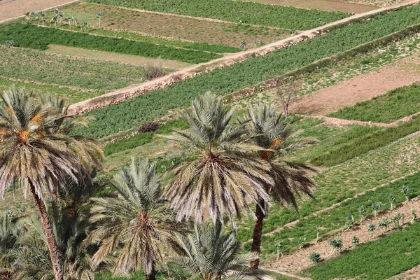 Traditionelles marokkanisches Dorf — Stockfoto